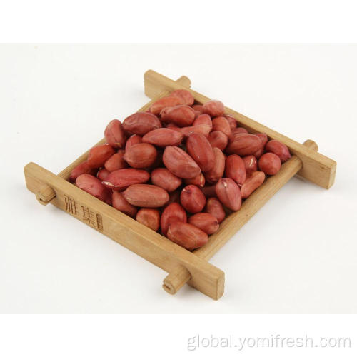 Groundnut Wholesale Price Dry Groundnut Benefits Supplier